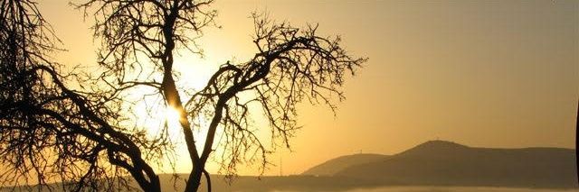 Nati Rom נתי רום banner
