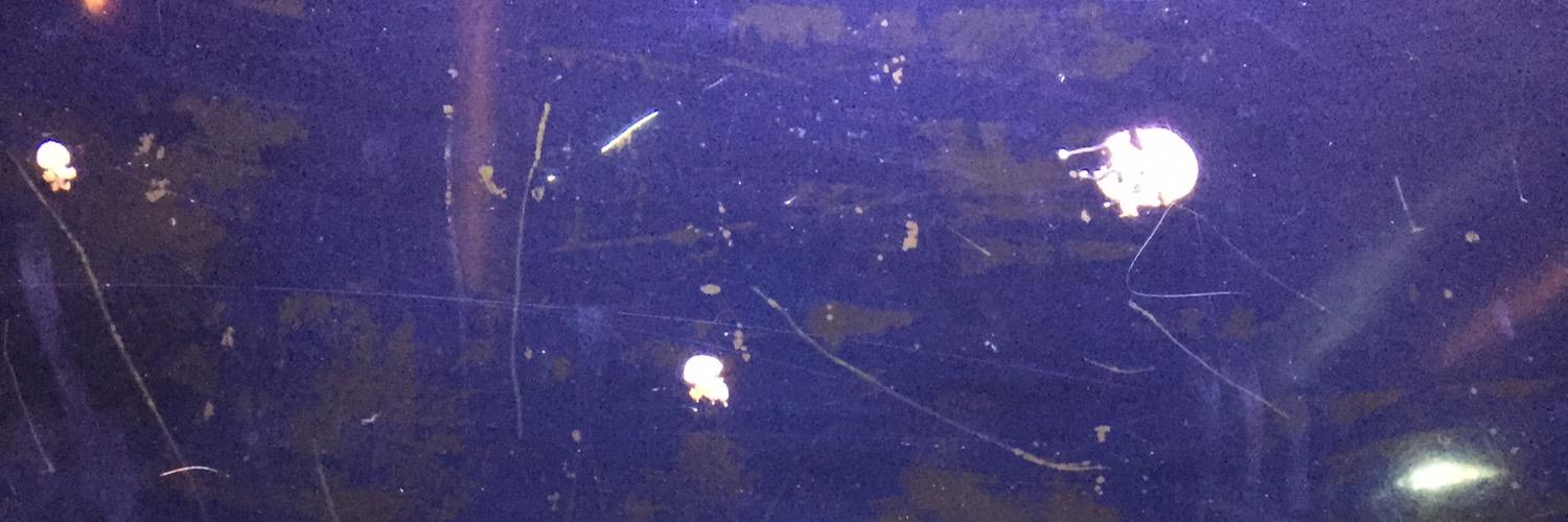 16ghosts's profile banner image