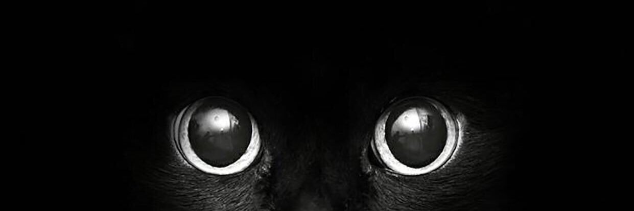 chiefEzege's profile banner image