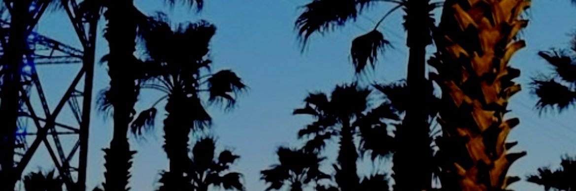 Kamilla May banner