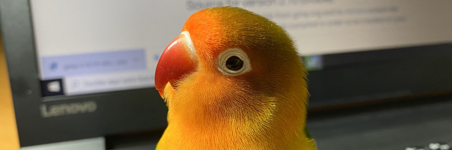 sergiomn11's profile banner image