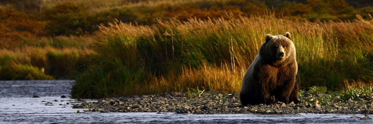 National Fish and Wildlife Foundation banner