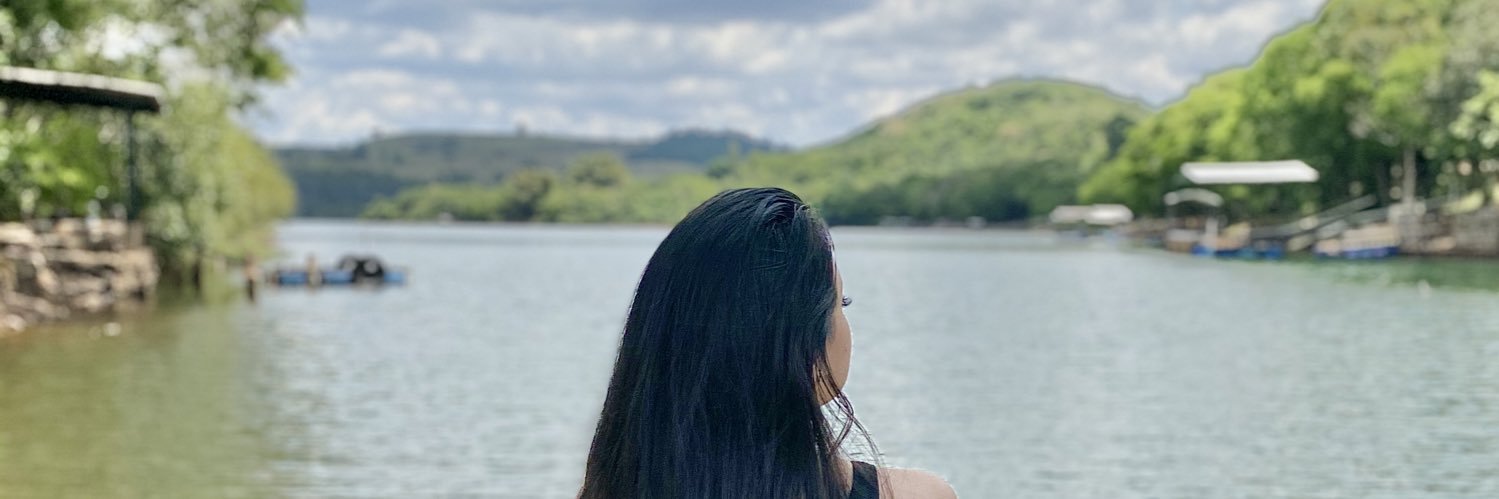 Ravellakerlen's profile banner image