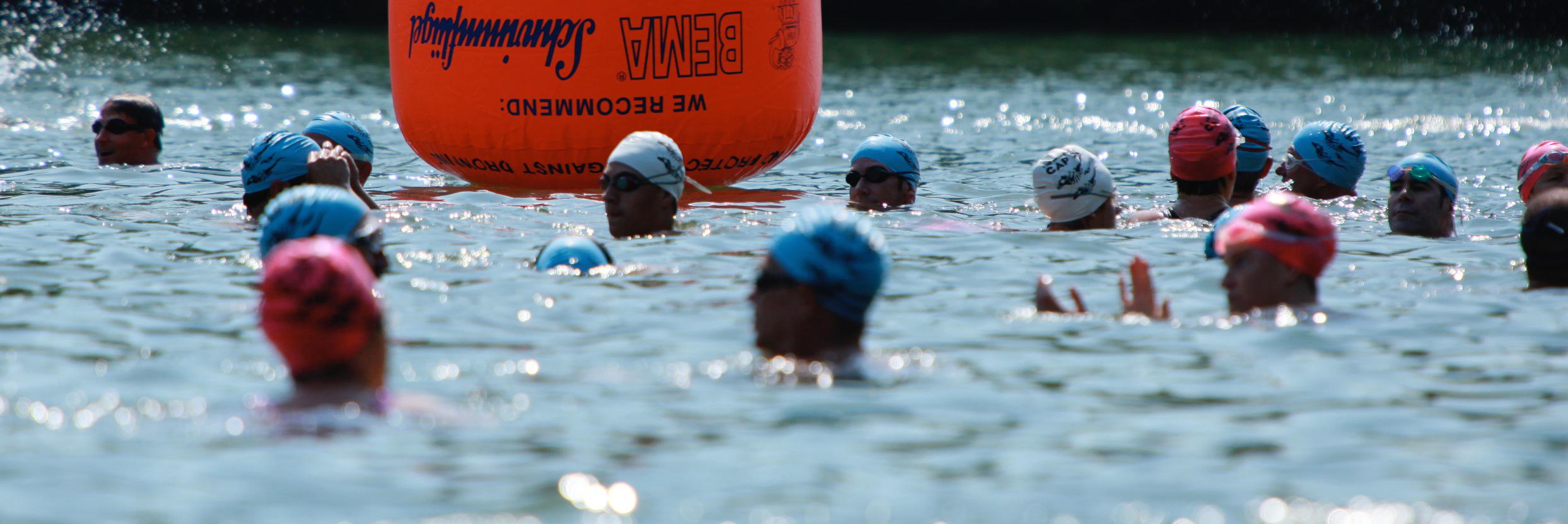 Open Water Race banner