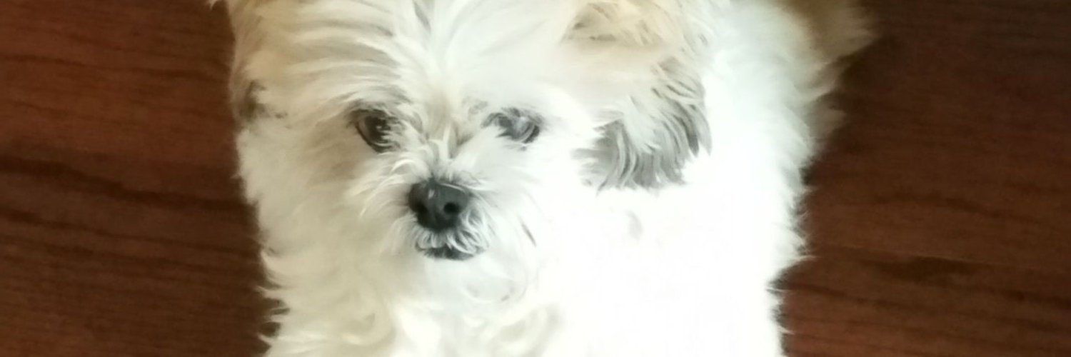 HenryFlattery's profile banner image