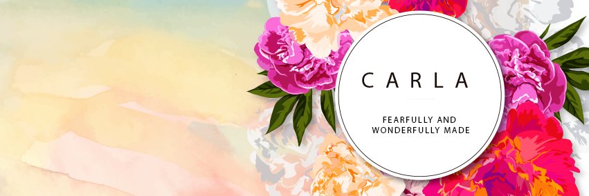 cmfrancisco's profile banner image
