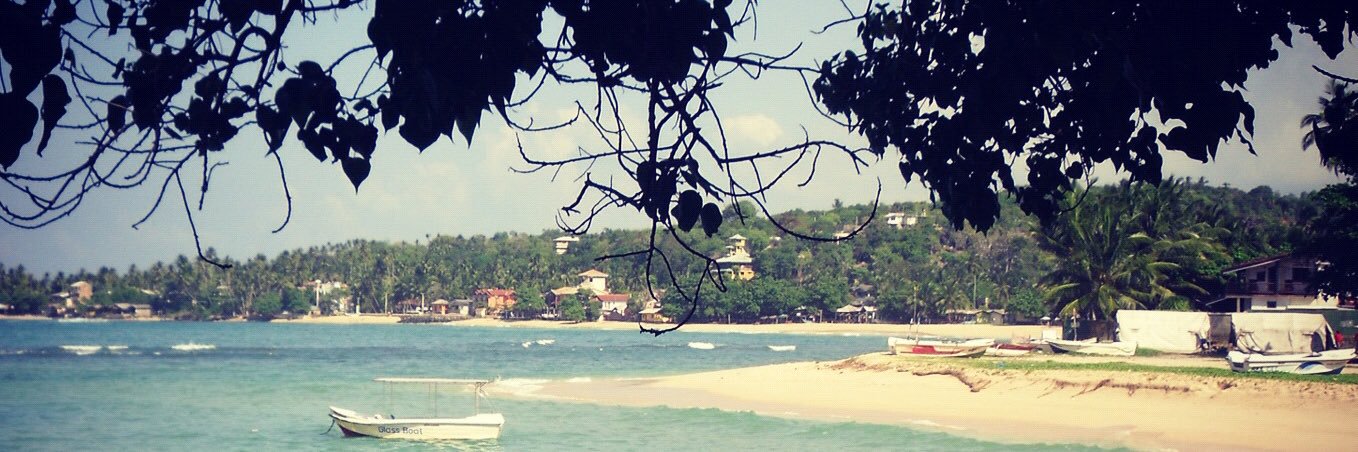 Catherine Armstrong banner