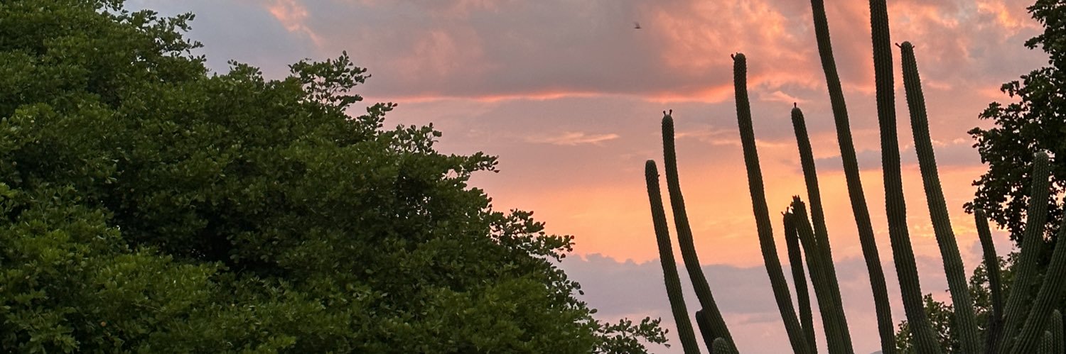 CarolineHamilt7's profile banner image