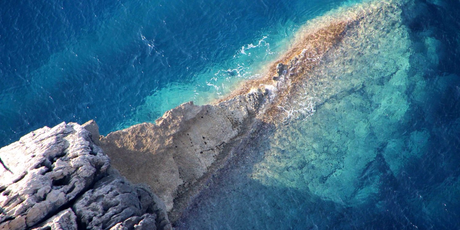 Dorothée Lefering banner