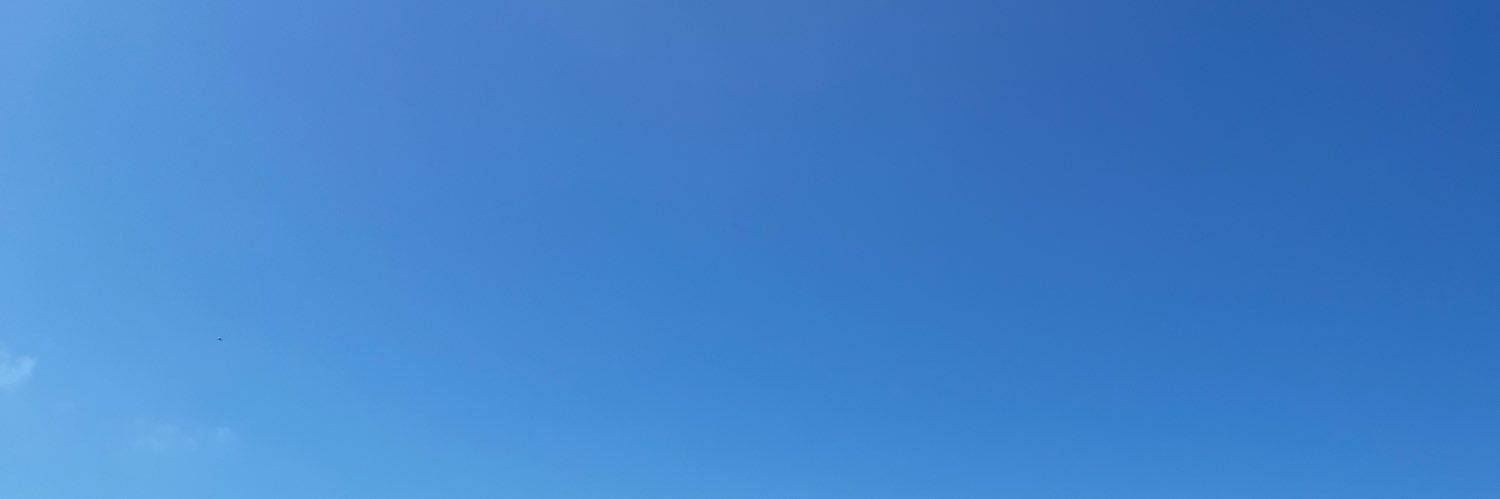 Rachel Travis banner