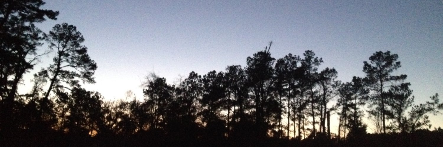 Chris Taylor banner