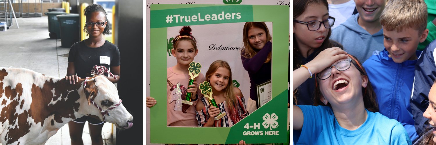 Delaware 4-H banner