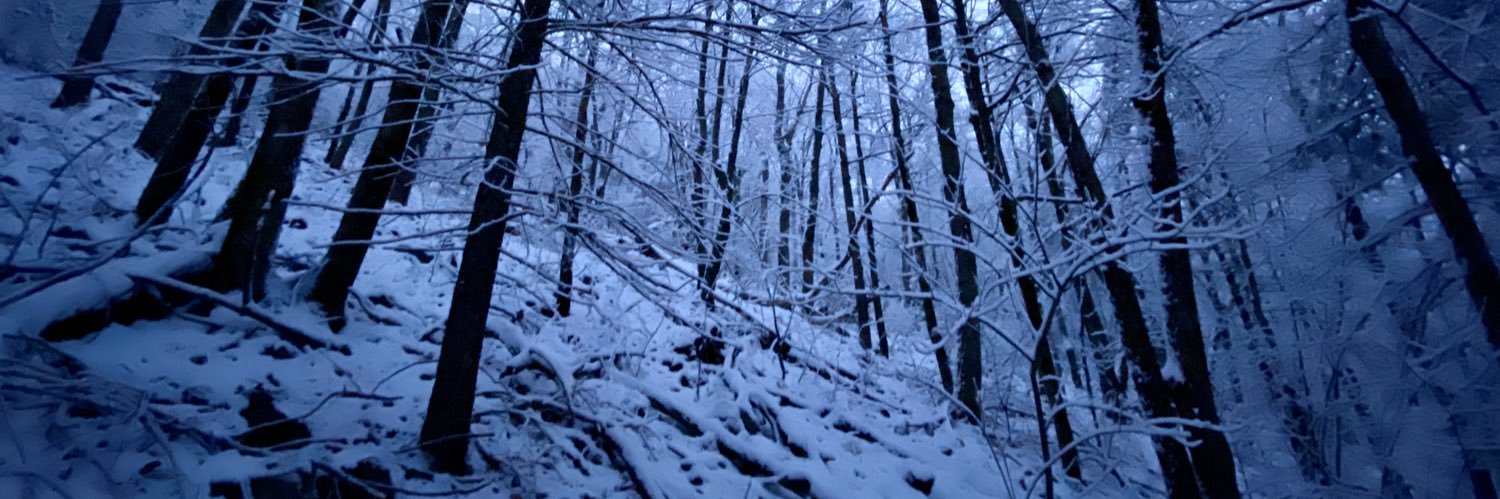 Nabil K. Mark banner