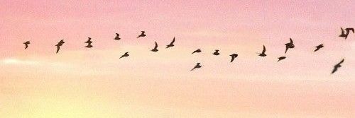 martaa_calpee's profile banner image