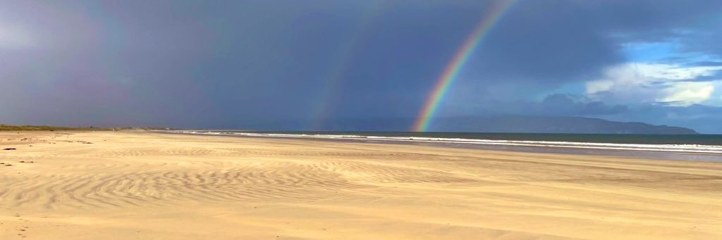 Steve H banner