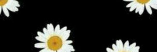 talitatorres_'s profile banner image