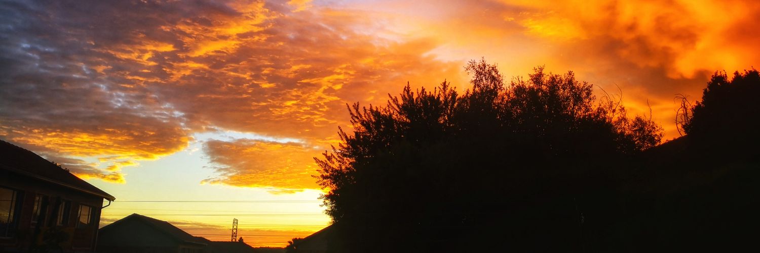 shmoland's profile banner image