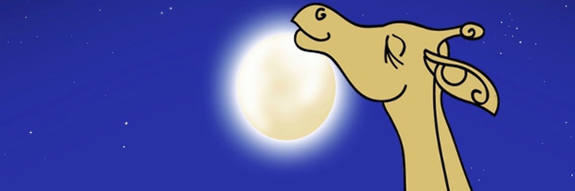 sahndree's profile banner image