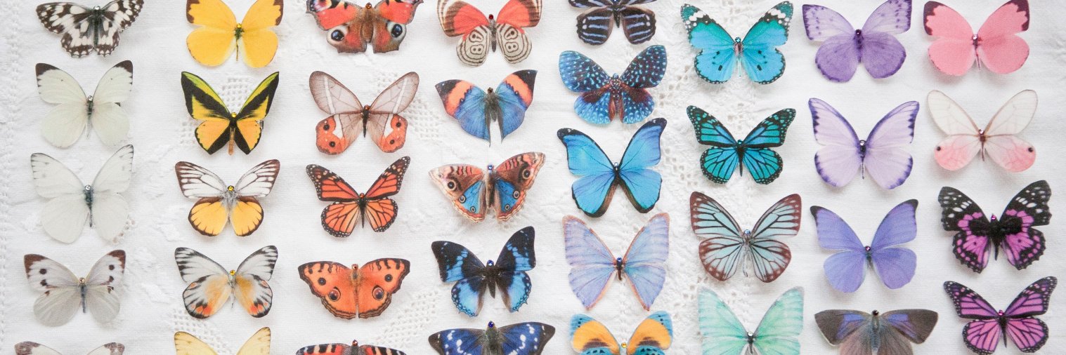 Flutter2me1's profile banner image