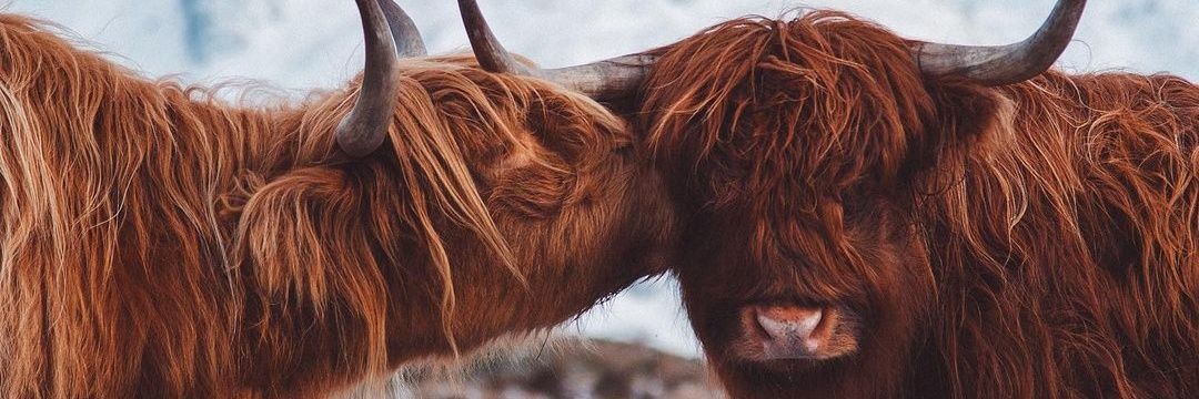 JessEast94's profile banner image