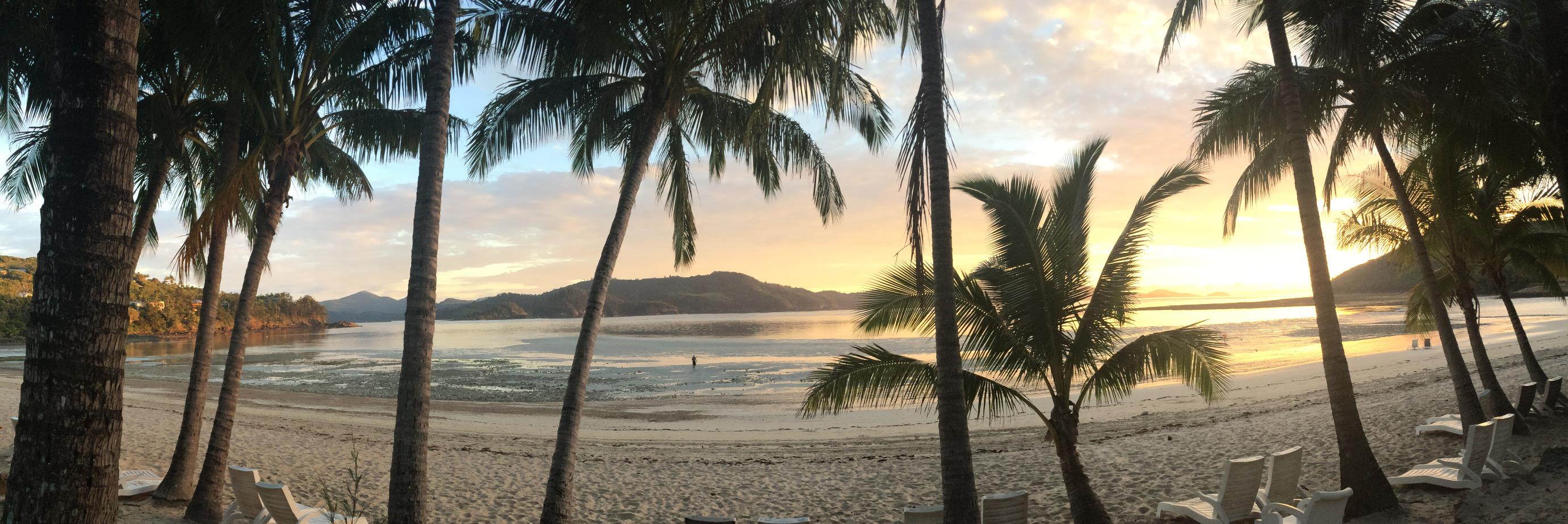 LLNoosa's profile banner image