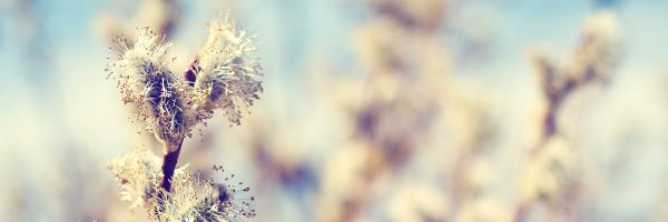 natalielepage's profile banner image