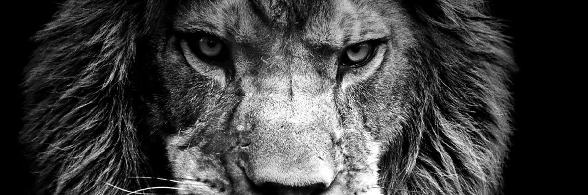 Heath Zuck banner