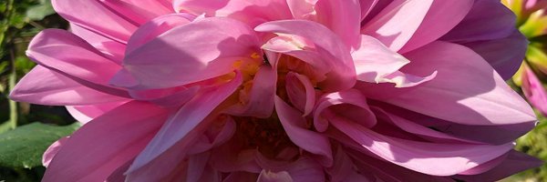 MorvenMuseum Profile Banner