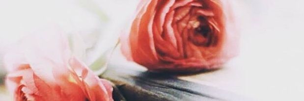 engahmed66's profile banner image
