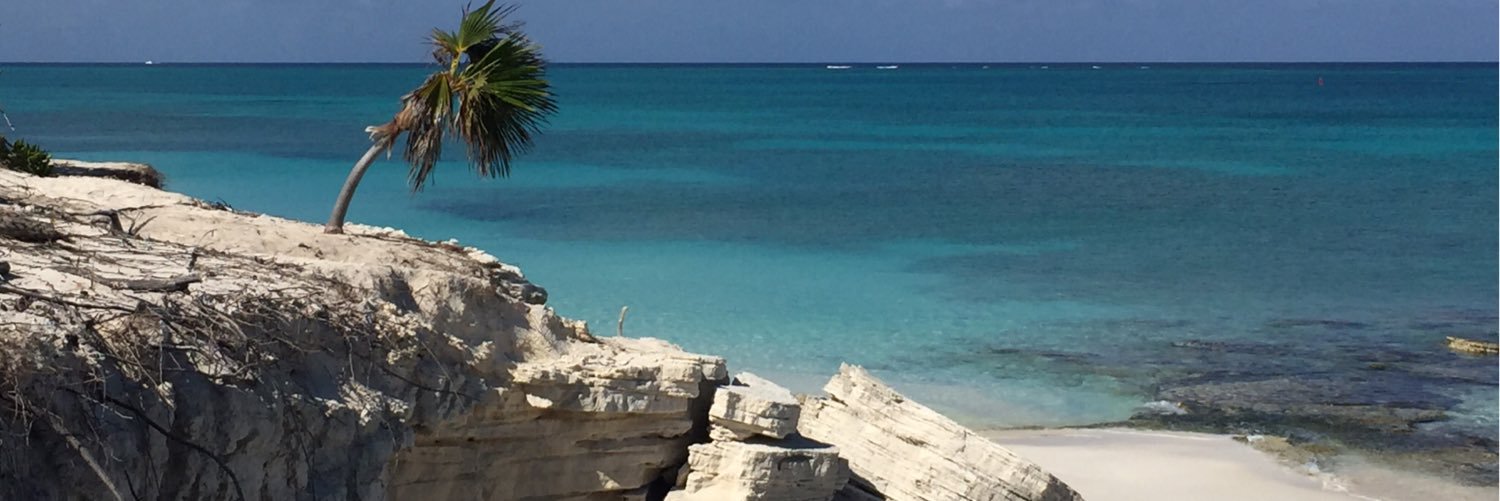 AlesFrezza's profile banner image