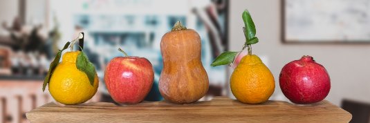 Arpita Bhattacharjya banner