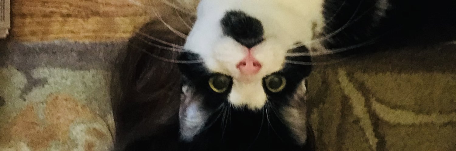 emtherese7's profile banner image