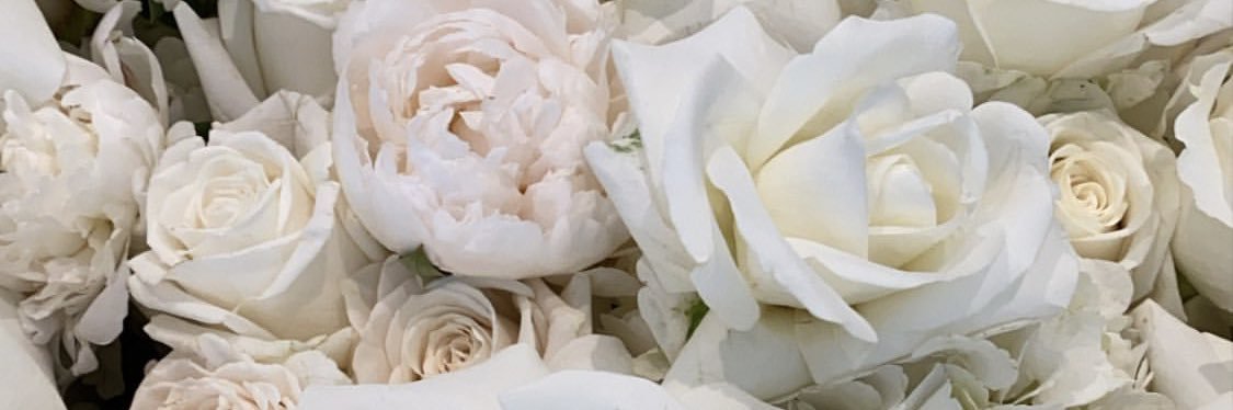 berrymonera's profile banner image