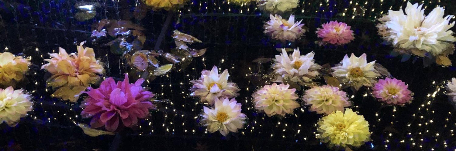 tiffako's profile banner image