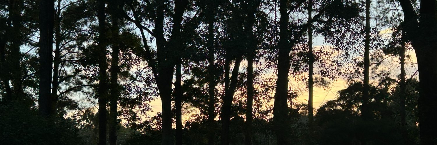 perseidless's profile banner image