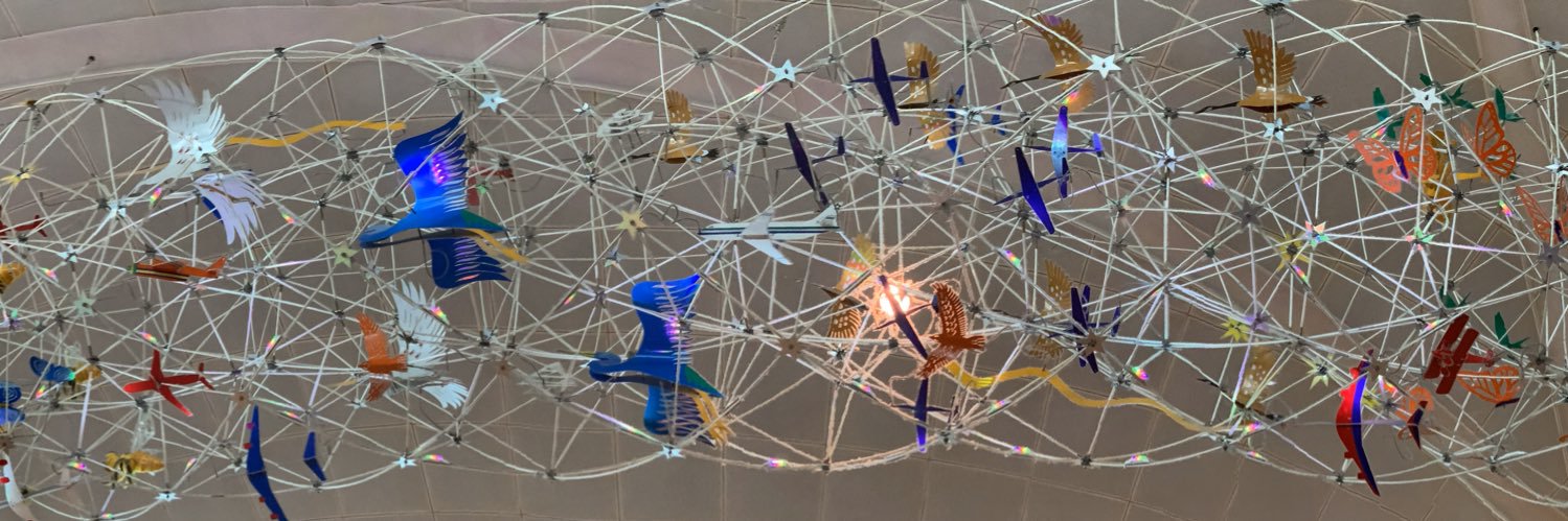 CH Assmann ☮️🌊 banner