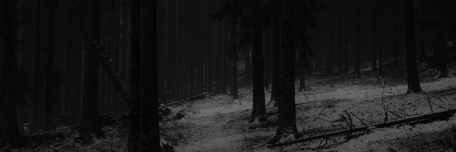 sakeytb's profile banner image