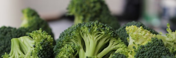 ProduceAlliance Profile Banner