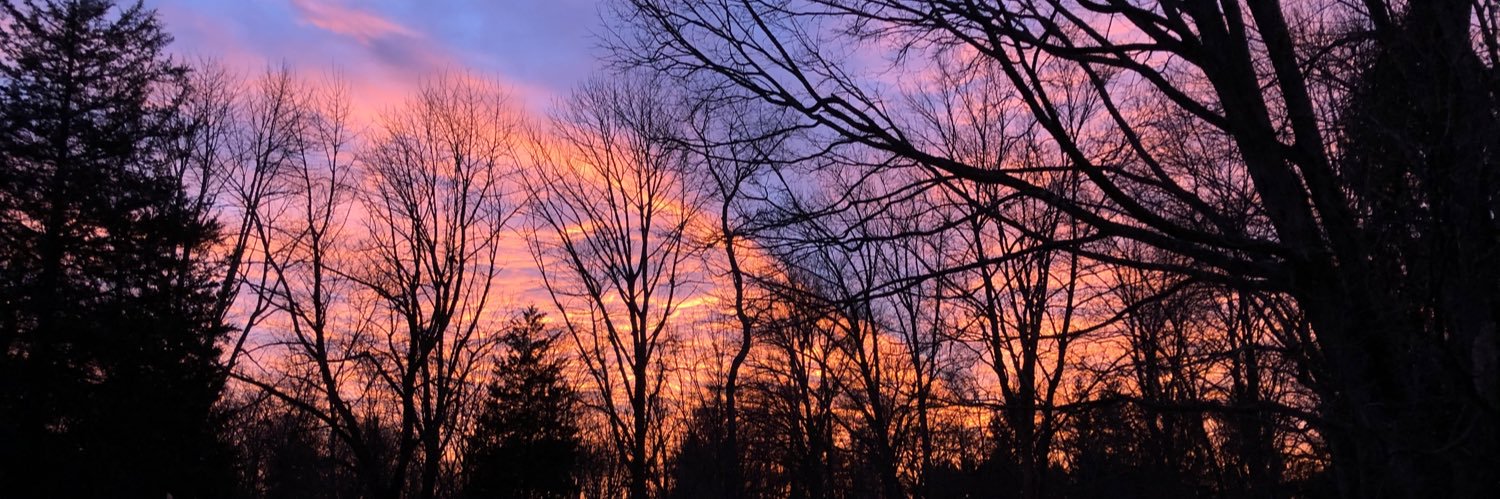 leannadecelles's profile banner image