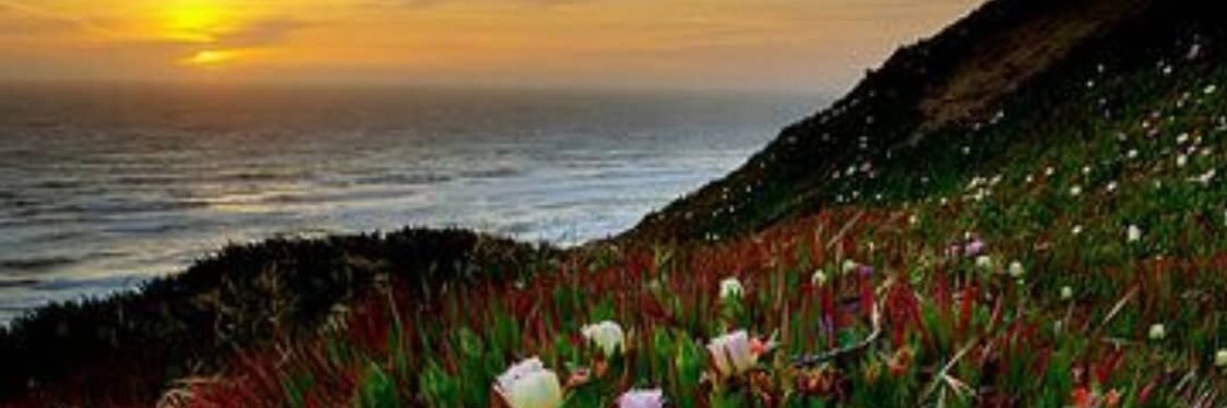 tayyebma's profile banner image