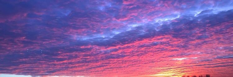 gem_morgan3's profile banner image