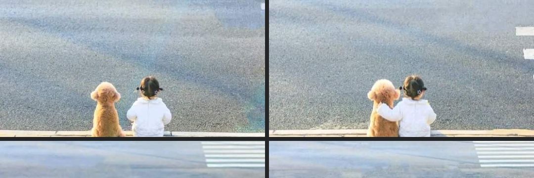 ilungaize's profile banner image