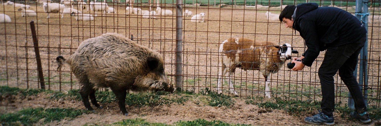 Plantbased.pablo banner