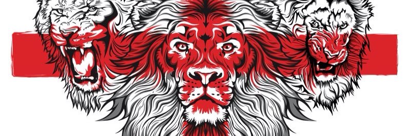 luppy8's profile banner image