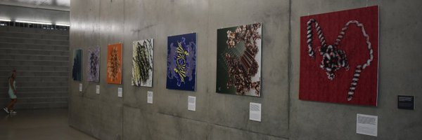 fenguita Profile Banner