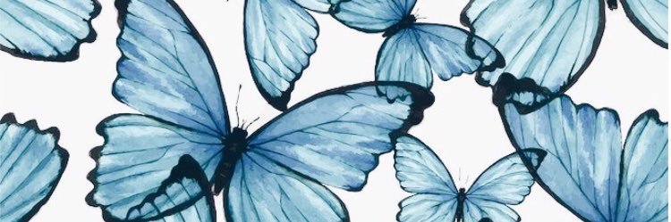 nikkithibeault's profile banner image