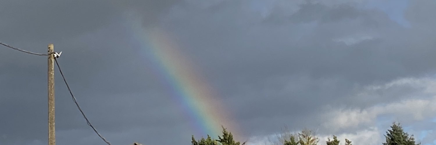 RicardoDte's profile banner image