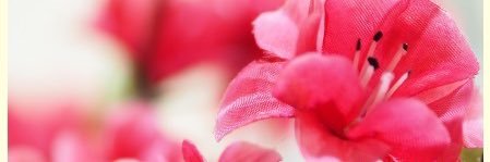 honeyCE's profile banner image