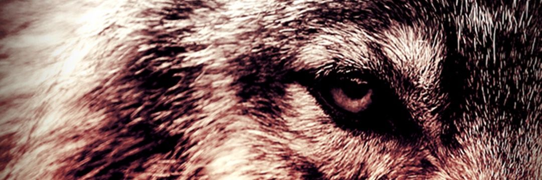 27Silver's profile banner image