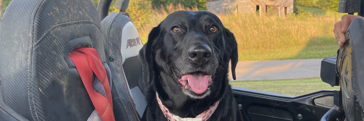 kellienugentt's profile banner image